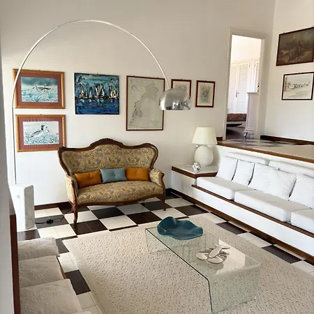 Haass Стинтино