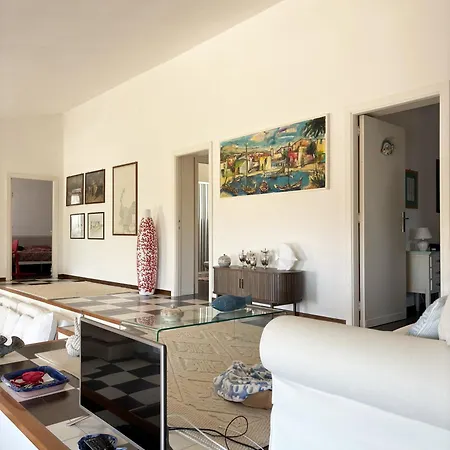 Haass Стинтино